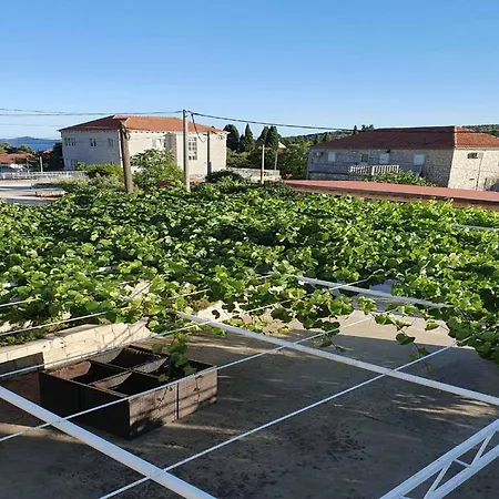 Moja - Two Bedroom With Terrace Apartment