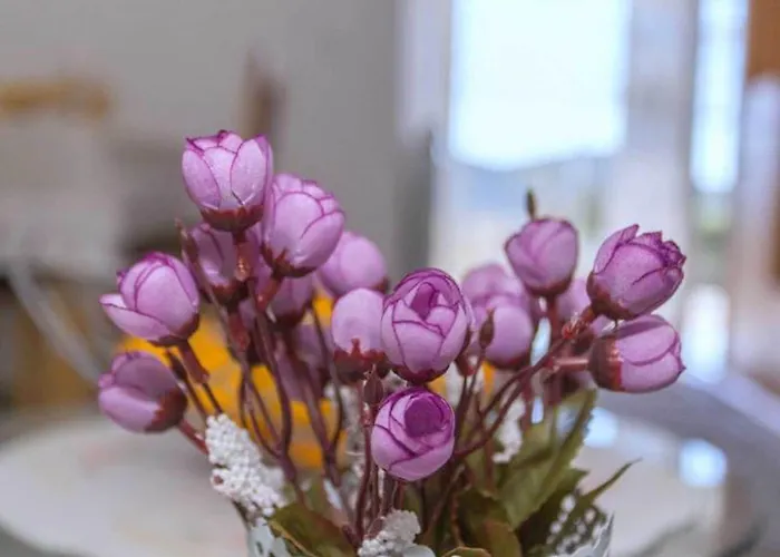 Moja - Two Bedroom With Terrace Apartment Zaton Doli